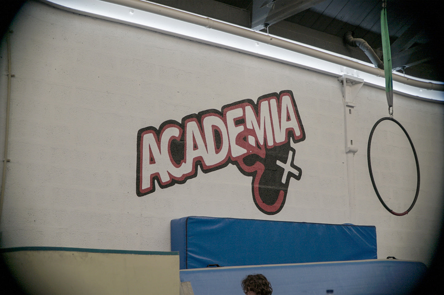 ACADEMIA EU+